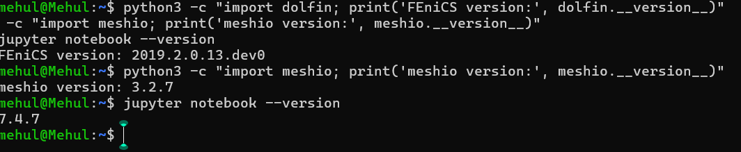 Terminal version check